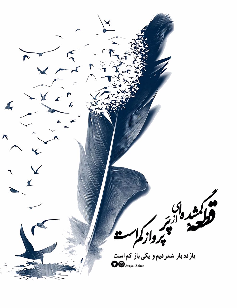 پَرِ پرواز