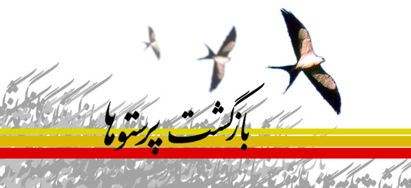 تبریک ورود آزاده گان سرافراز به ایران اسلامی