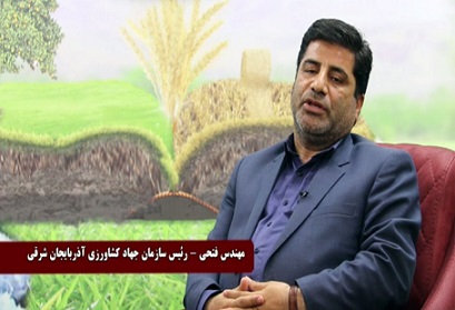  نرخ خرید تضمینی گندم و سایر محصولات کشاورزی برای سال زراعی جدید ابلاغ شد
