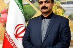 افتخاری دیگر برای آذربایجان / احمد بایبوردی در زمره دو درصد دانشمندان برتر جهان
