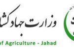 پیام قدردانی رئیس تحقیقات و آموزش کشاورزی و منابع طبیعی آذربایجان شرقی از همکاری کارکنان مرکز در پویش آزادی زندانیان جرایم غیر عمد