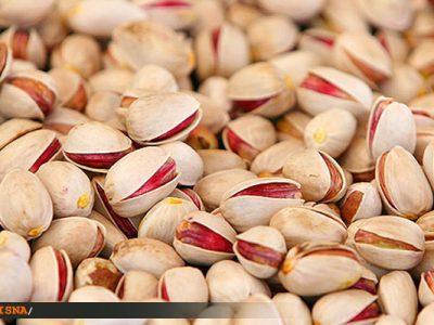 رتبه اول ایران در سطح زیر کشت باغات پسته و جایگاه دوم دنیا در تولید