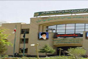 پیش بینی تولید ۷۹۸۰۰ تن سیب زمینی بهاره و تابستانه در استان آذربایجان شرقی