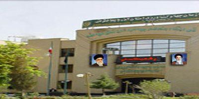پیش بینی تولید ۷۹۸۰۰ تن سیب زمینی بهاره و تابستانه در استان آذربایجان شرقی