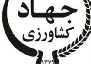پیامدهای تضعیف سازمان تحقیقات، آموزش و ترویج کشاورزی (تات) بر امنیت غذایی کشور